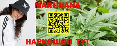 сатива Славгород