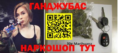 сатива Славгород