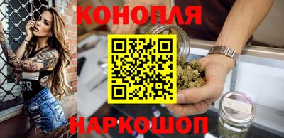 МДПВ Сланцы